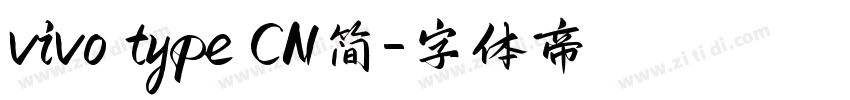 vivo type CN简字体转换